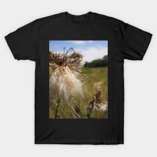 Dandy Lion T-Shirt